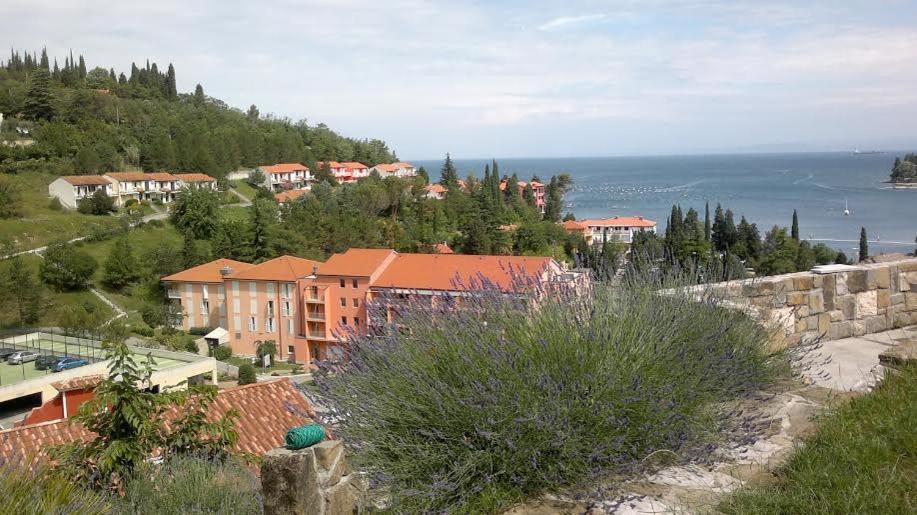 Heart Of Strunjan Apartments Al Exterior photo